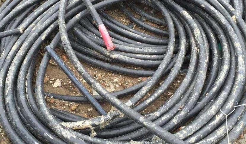 腾博会官网 - 诚信为本,专业服务!