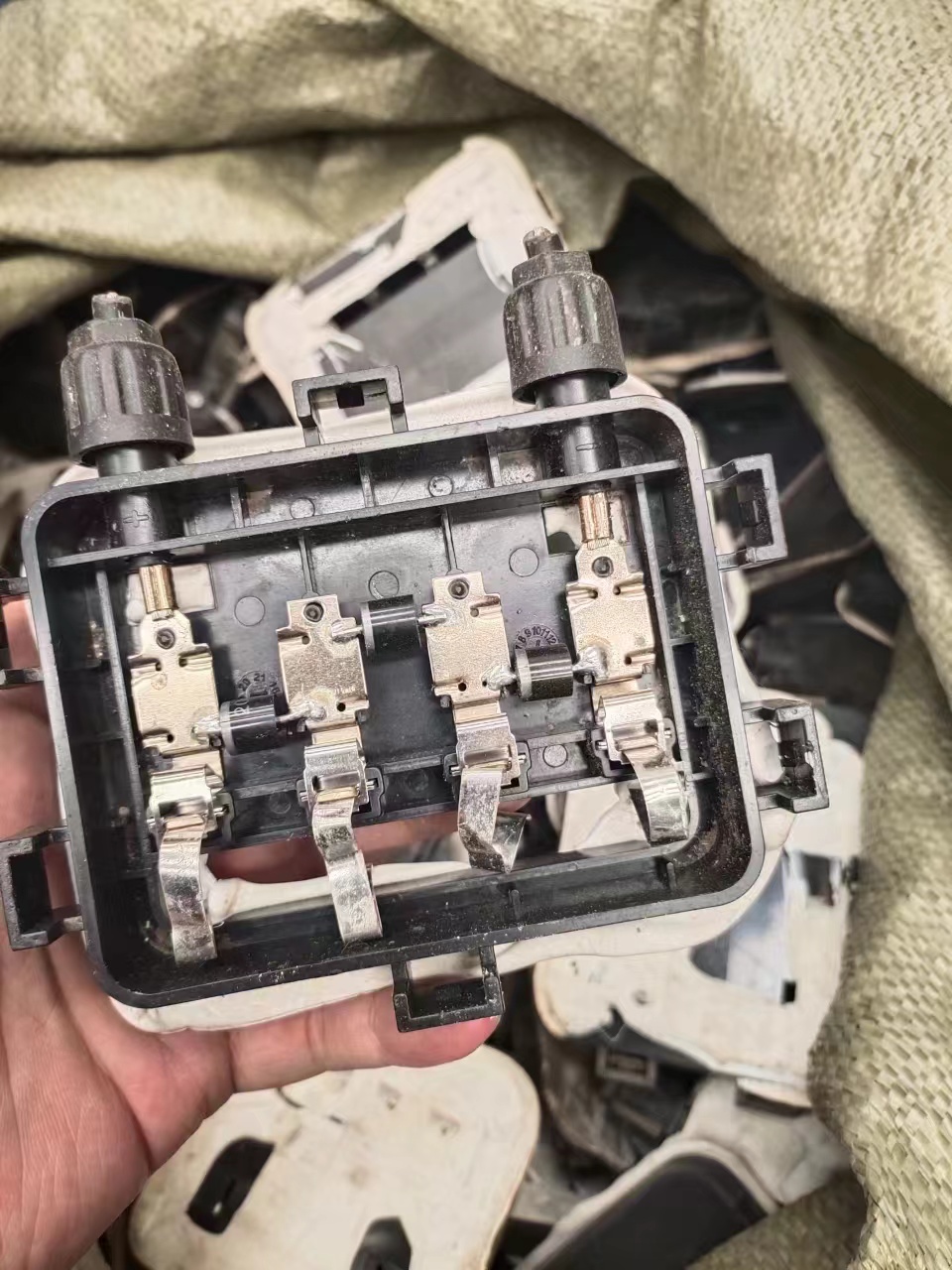 腾博会官网 - 诚信为本,专业服务!