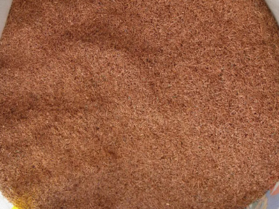 腾博会官网 - 诚信为本,专业服务!