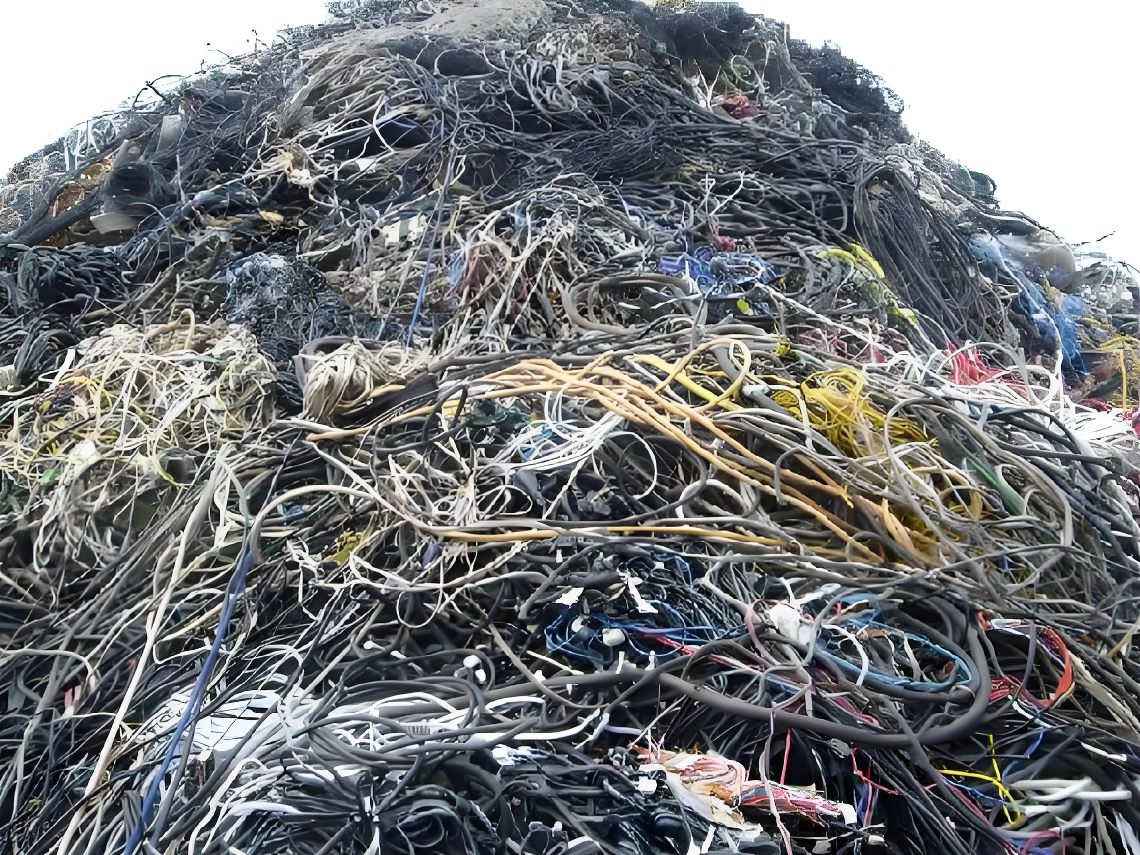 腾博会官网 - 诚信为本,专业服务!