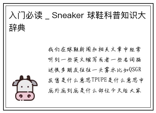 入门必读 _ Sneaker 球鞋科普知识大辞典