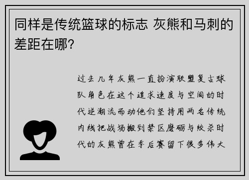同样是传统篮球的标志 灰熊和马刺的差距在哪？
