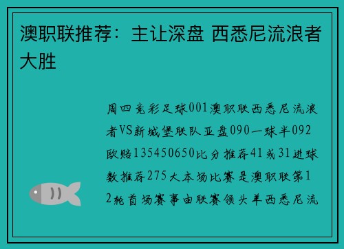澳职联推荐：主让深盘 西悉尼流浪者大胜