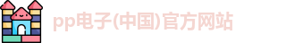 pp电子